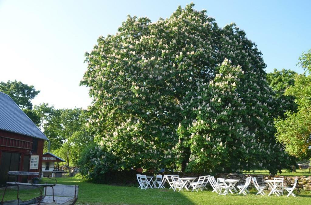Rosenborgs Friluftspensionat Färjestaden Exterior foto